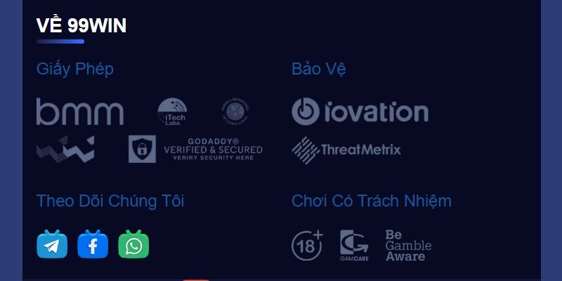giấy phép 99win